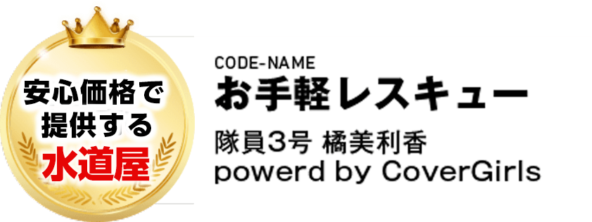 CODE-NAME お手軽レスキュー